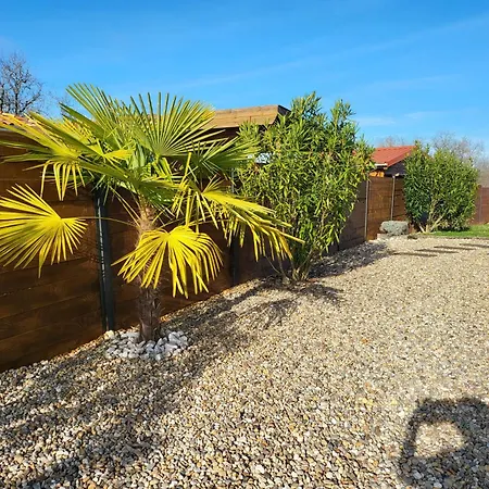 Newlook 1 Trélissac